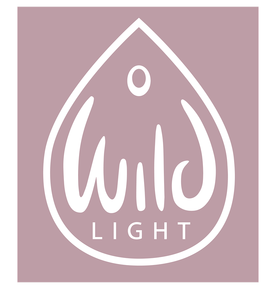 WildLightBrandingpakcage-04